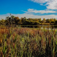 *** :: Андрей Андрианов *** :: Андрей Андрианов