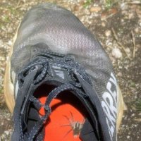 Утро туриста... :: Георгиевич 