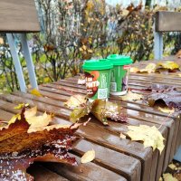 Осень :: Андрей 