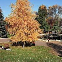 " В городе осень... не дождь и  не слякоть" :: Николай Рубцов