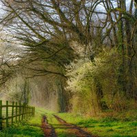 Рядом с полем :: Георгий А Рядом с полем :: Георгий А