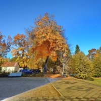 осень :: ИННА ПОРОХОВА осень :: ИННА ПОРОХОВА