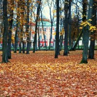 Ковёр листопада :: Aida10 Ковёр листопада :: Aida10