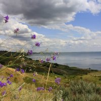 Мержаново :: Оксана Новик 