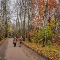 В осеннем парке... :: Владимир Жданов