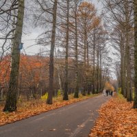 В осеннем парке... :: Владимир Жданов