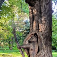 В парке Морица Беккера. :: Ольга 