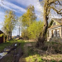 Впечатление. :: Александр Иванович Шитов