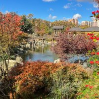 Краснодар. Парк Галицкого . Японский сад :: Galina 