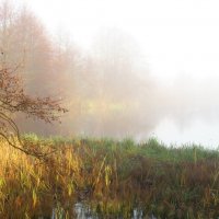 Туман над озером :: Андрей Снегерёв