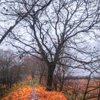 *** :: Сергей Григорьев