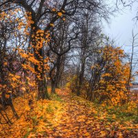 *** :: Сергей Григорьев