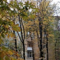 *** :: Валентина Береснева