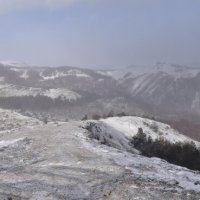 Природа Крыма :: Amazing Cosmea