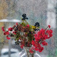 октябрь, за окнами дождь :: Юрий Шувалов