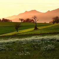 sunset :: Elena Wymann