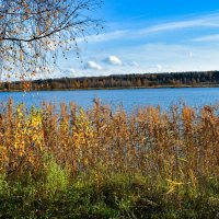 Осень на Смоленщине. :: Милешкин Владимир Алексеевич Осень на Смоленщине. :: Милешкин Владимир Алексеевич