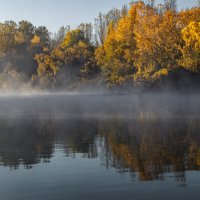 *** :: Игорь Протасов