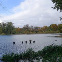 Озеро Лесное, Калининград :: Рита Симонова