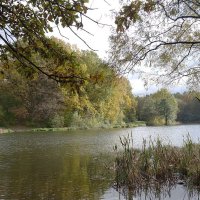 Озеро Лесное, Калининград :: Рита Симонова