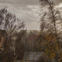 Ноябрь, ненастье. :: Петр Беляков