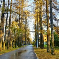 осенний парк :: АЛЕКСАНДР 
