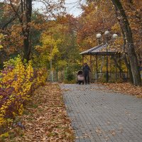 Осень в Новокуйбышевске (дубль 2) :: Олег Манаенков