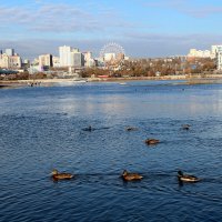 Мой город осенний :: Татьяна Лютаева Мой город осенний :: Татьяна Лютаева