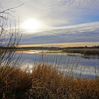 Низкое солнце ноября :: Сергей Ц