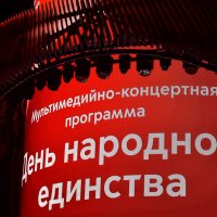 Празничное шоу в День народного единства. :: Татьяна Помогалова