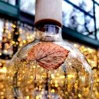 Прикрепился :: Любимова Ольга 