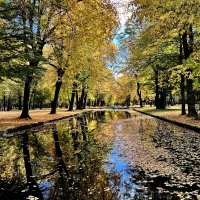 В одно окно смотрели двое... Один увидел дождь и грязь, Другой - листвы зеленой вязь, :: "The Natural World" Александер В одно окно смотрели двое... Один увидел дождь и грязь, Другой - листвы зеленой вязь, :: "The Natural World" Александер