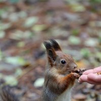 Ладушки. :: Александр Кондаков