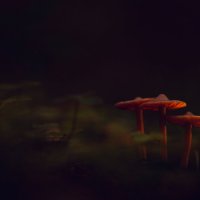 Ай-я-я-я-яй компания! :: Арсений 