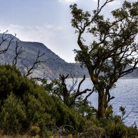 Кто заметит чаек? ;-) :: Алексей Пышненко