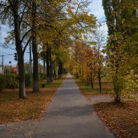 Уличная перспектива :: Александр Синдерёв