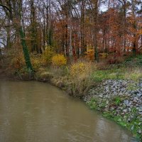 Беркель в ноябре... :: Николай Гирш