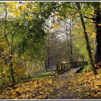 *** :: Aleksandr Gal