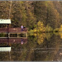 Вот и ноябрь :: Aleksandr Gal