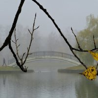 Парк в тумане :: Мария Яковлева