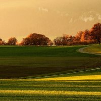 autumn evening :: Elena Wymann