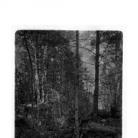 №97 :: Alex Bes №97 :: Alex Bes