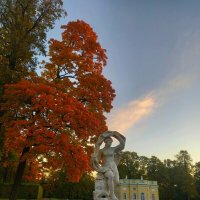 Рассвет :: Сапсан 