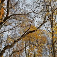 Осень хозяйничает! :: Валентина Нефёдова Осень хозяйничает! :: Валентина Нефёдова