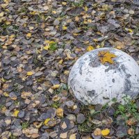 Коронованная осенью :: Валерий Иванович