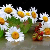 Ромашковое лето. :: nadyasilyuk Вознюк