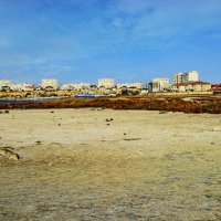 Берег Каспия :: Анатолий Чикчирный