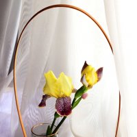 Нежность :: Любовь Сахарова Нежность :: Любовь Сахарова