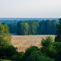 ____ :: Галина Ложечникова