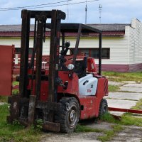Московская область. Серпухов. Ферма «Русский страус». :: Наташа *****